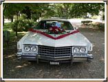 1973 Cadillac Eldorado Cabrio 015